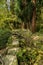 Shady stone path in mountain woods of winter afternoon