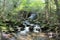 A shady stream running through the woods with a waterfall