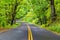 A shady stretch of winding road along the Columbia River Gorge Scenic Byway Highway in Oregon