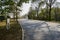 Shady tarred country road in sunny winter