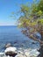 Shady tree and black white sea stones in coastline of Manatuto, Timor-Leste.