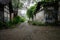 Shady unpaved path between ancient Chinese buildings in verdant