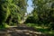 Shady unpaved path to abandoned 1960s` apartment building