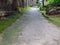 A shady walkway in a quiet neighborhood of Doi Saket