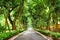 Shady walkway with tropical trees at botanical garden in Hanoi