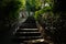 Shady wet stone stairway in plants on slope in sunny morning