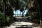 Shady wooded tent camp site in Fort De Soto Park in Pinellas County, Florida.