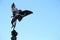 Shaftesbury Memorial Fountain, statue of a mythological figure Anteros Eros`s brother with blue sky background, Piccadilly