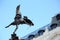 Shaftesbury Memorial Fountain, statue of a mythological figure Anteros Eros `s brother with blue sky background, Piccadilly