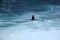 Shag flying over the sea