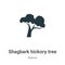 Shagbark hickory tree vector icon on white background. Flat vector shagbark hickory tree icon symbol sign from modern nature