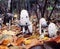 Shaggy mane mushrooms Coprinus comatus fall leaves