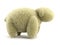 Shaggy sheep 3d