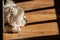 Shaggy Westie dog lying on wood floor in the sun coming in through door - soaking it in and recharging its batteries