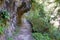 Shakadang Trail Mysterious Valley Trail at Taroko National Park. a famous tourist spot in Xiulin, Hualien, Taiwan