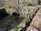 Shaker stone bridge over Shaker Creek Watervliet NYS