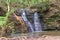 Shakespear Regional Park Waterfall Gully