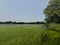 Shakespeare Pond in Early Summer