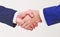 Shaking hands at meeting. Friendly handshake gesture. Handshake after signing profitable agreement. Handshake gesture