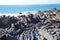 Shale Rock Layers near Hartland Point on North Devon Coast, England, UK