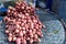 Shallot on a basket