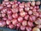 Shallot small onions in the market