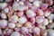 Shallots onions background