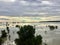 Shallow beach with mangrove trees