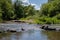 A shallow, calm river on a sunny, warm day