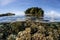 Shallow Coral Reef and Island