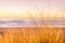 Shallow depth of field grass landscape with view of beach coastline at sunset with yellow light