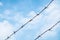 Shallow depth of field, old barbed steel wire against blue sky