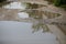 Shallow depth of field selective focus details with huge potholes filled with water after a rain in a mud road in Bucharest,