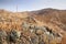 Shallow depth of field view of rock stones covered with lichen surrounded by yellow autumn grass on gentle hills