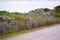 Shallow depth of focus fence by the beach dunes