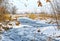 Shallow, fast, unfrozen river in winter