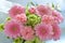 Shallow focus closeup shot of a pink bouquet of Transvaal Daisy, Lily, Rose, Peony flowers