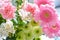 Shallow focus closeup shot of a pink bouquet of Transvaal Daisy, Lily, Rose, Peony flowers