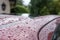 Shallow focus of fresh rain water seen pooling into droplets on a newly washed and waxed car.