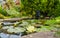 Shallow focus of a fresh yellow water Lilly seen growing in an ornate garden pond