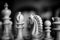 Shallow focus image of wooden Knight chess piece seen in monochrome.