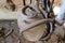 Shallow focus of a large flask used to collect milk, seen in an abandoned milking parlour.