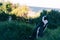 Shallow focus photography of a penguin sitting in the fresh green grass