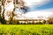 Shallow focus of a recently cut lawn seen in a large and well maintained garden.