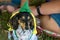 Shallow focus shot of adorable Dachshund dog in funny festive costume