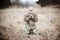Shallow focus shot of an American soldier praying in a field while kneeling in a dry grass