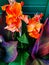 Shallow focus shot of beautiful canna lily flowers