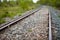 Shallow focus of train tracks in nature