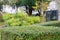 Shallow focus of a well maintained hedge at a botanical gardens.