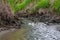 A shallow forest river with a wild view. Forest small river wild landscape. Wild river stream branches.